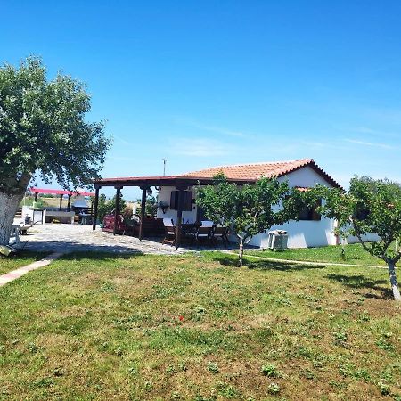 Kalliopi'S House Arogi Dış mekan fotoğraf